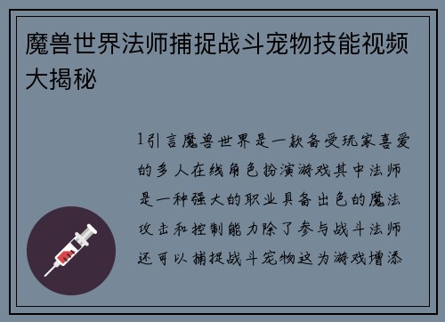魔兽世界法师捕捉战斗宠物技能视频大揭秘